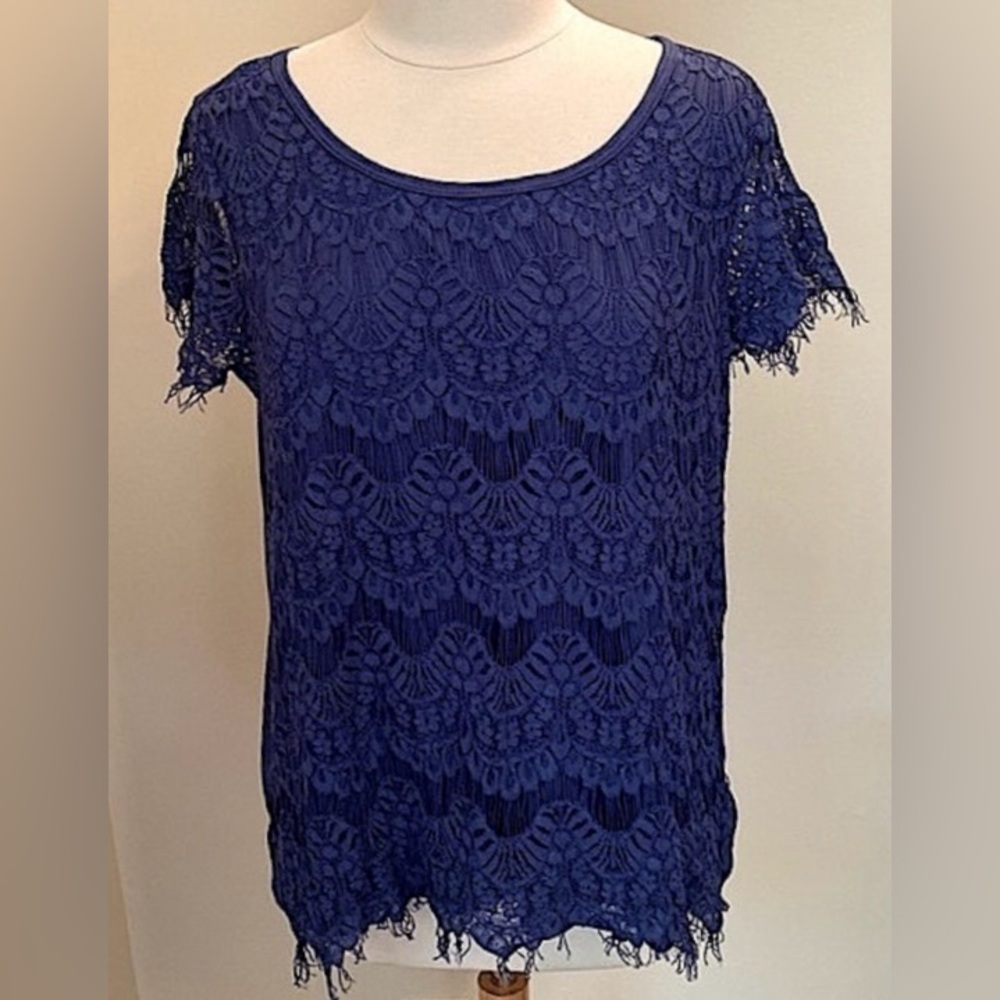 Signature 1 Studio Plus Size Royal Blue Floral 1X  Romantic Cottagecore Lace Top